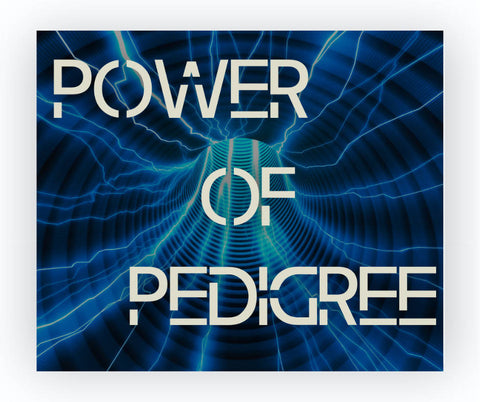 The Power of Pedigree