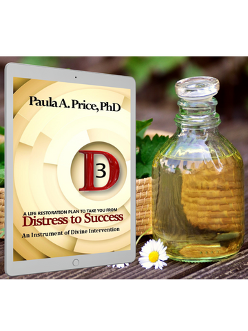 3D: Distress to Success eBook