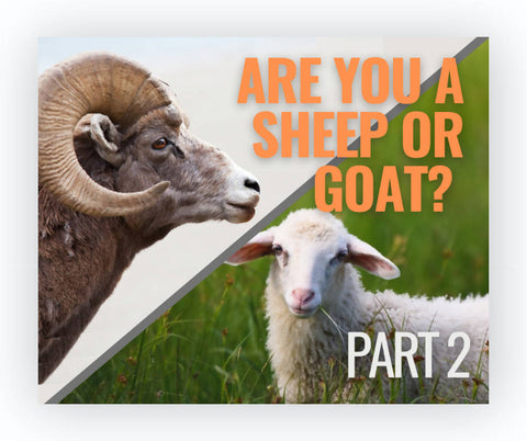 Are You A Sheep or Goat, Part 2