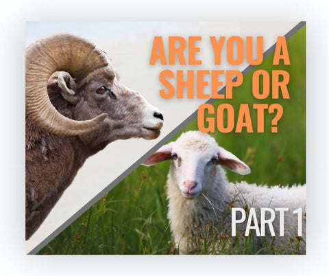 Are You A Sheep or Goat? Part 1